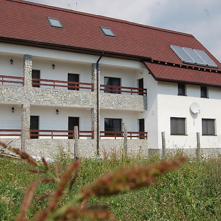 Pensiunea Bogdan Novaci-Străini エクステリア 写真