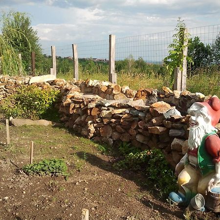 Pensiunea Bogdan Novaci-Străini エクステリア 写真