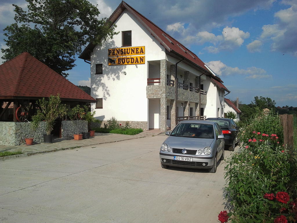 Pensiunea Bogdan Novaci-Străini エクステリア 写真